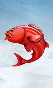 Ice Fishing